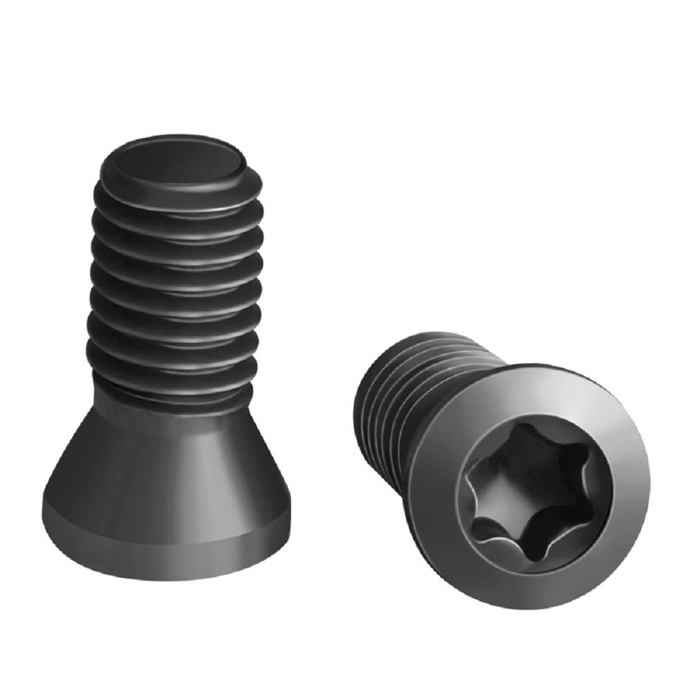 TORX SCREW 2 MM (PACK OF 10)